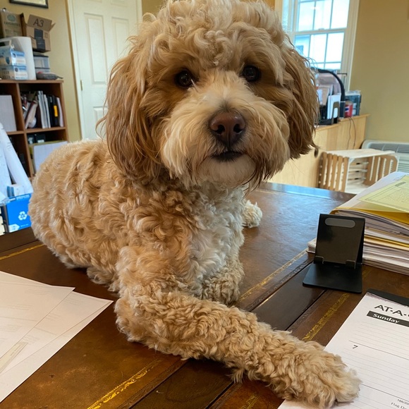 (0-24W; XS-4X) 25% Off ALL Bundles - Picture 9 of 13